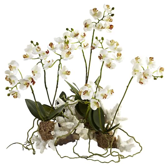 14&#x22; Mini Moth Orchid Set on Coral